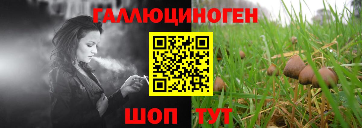 Псилоцибиновые грибы прущие грибы  Вход с VPN  Зеленокумск  Галлюциногенные грибы GOLDEN TEACHER 